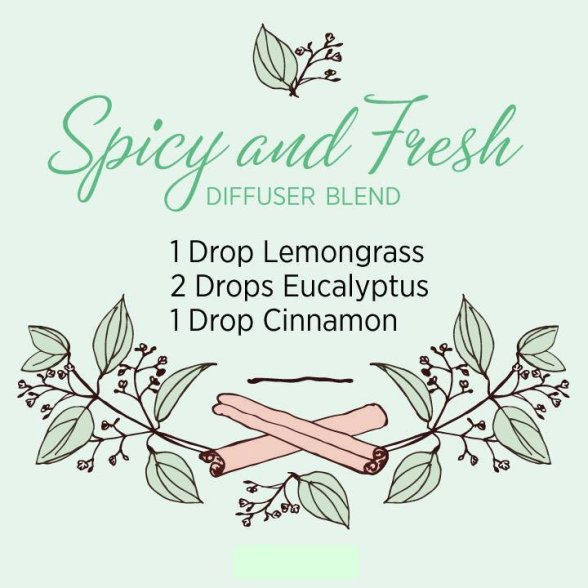 Spicy and Fresh Diffusing Blend